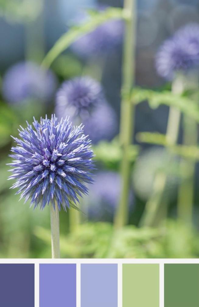 How Accessories Transform Your Outfit: Elevate Every Look with Simple Details